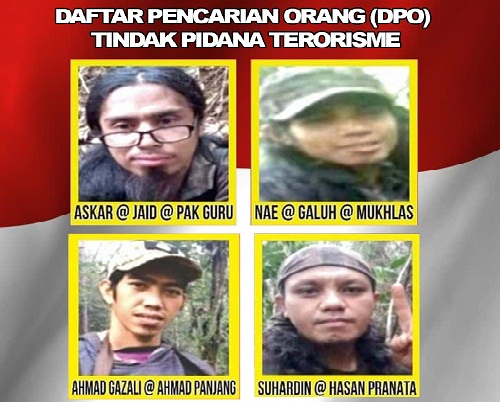 DPO--