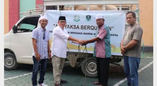 Kejati Sulteng Serahkan Dua Ekor Sapi Kurban di Iduladha 2022