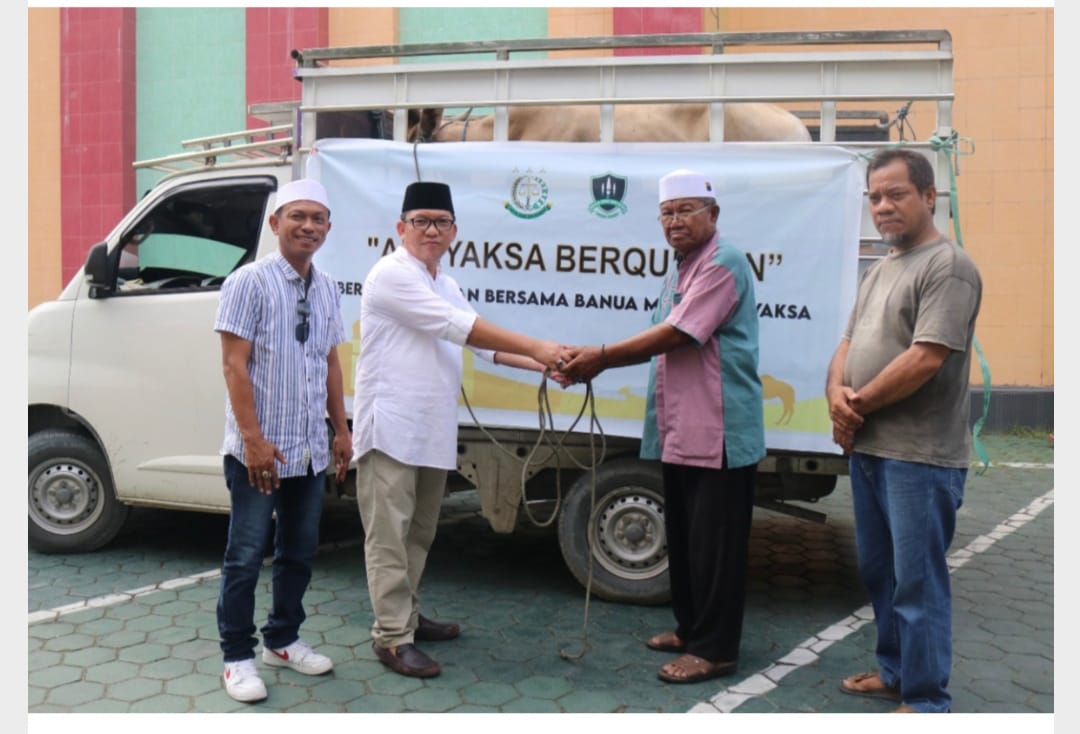 Kejati Sulteng Serahkan Dua Ekor Sapi Kurban di Iduladha 2022